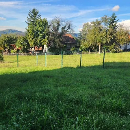 Zeleno Brdo * ויסוקו